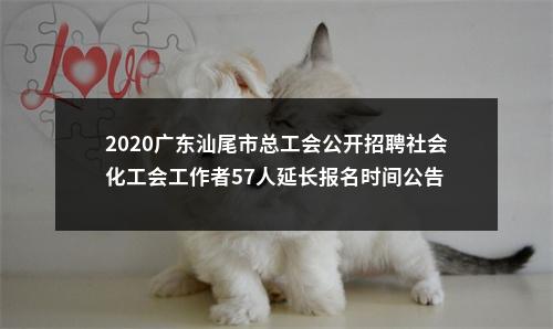 2020广东汕尾市总工会公开招聘社会化工会工作者57人延长报名时间公告 图片