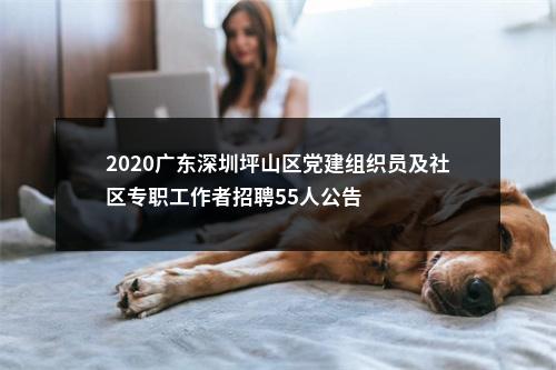 2020广东深圳坪山区党建组织员及社区专职工作者招聘55人公告 图片