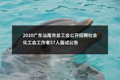 2020广东汕尾市总工会公开招聘社会化工会工作者57人面试公告 图片