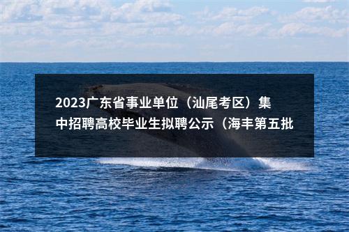 2023广东省事业单位（汕尾考区）集中招聘高校毕业生拟聘公示（海丰第五批） 图片