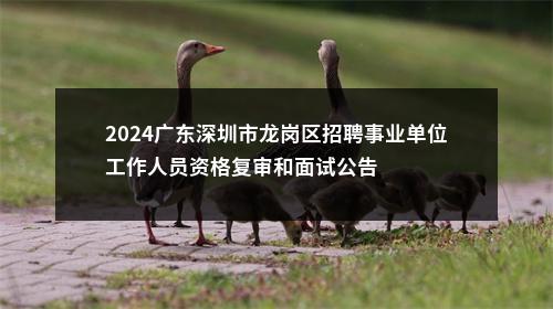 2024广东深圳市龙岗区招聘事业单位工作人员资格复审和面试公告 图片
