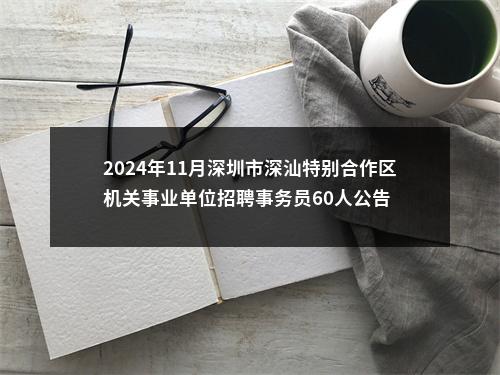 2024年11月深圳市深汕特别合作区机关事业单位招聘事务员60人公告 图片