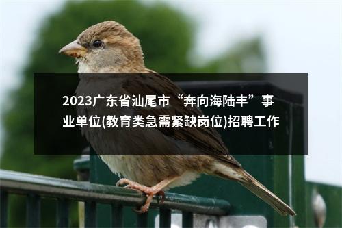 2023广东省汕尾市“奔向海陆丰”事业单位(教育类急需紧缺岗位)招聘工作人员85人拟聘公告（陆河第一批） 图片