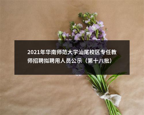 2021年华南师范大学汕尾校区专任教师招聘拟聘用人员公示（第十八批） 图片