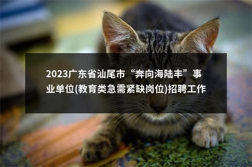 2023广东省汕尾市“奔向海陆丰”事业单位(教育类急需紧缺岗位)招聘工作人员85人拟聘公告（市直第五批） 图片