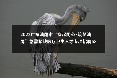 2022广东汕尾市“疫起同心·筑梦汕尾”急需紧缺医疗卫生人才专项招聘581人补充公告 图片