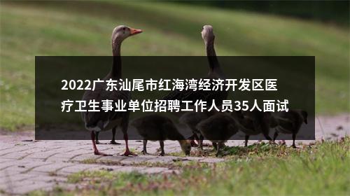 2022广东汕尾市红海湾经济开发区医疗卫生事业单位招聘工作人员35人面试公告 图片