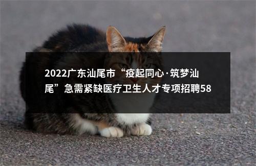 2022广东汕尾市“疫起同心·筑梦汕尾”急需紧缺医疗卫生人才专项招聘581人拟聘公告（陆河第二批） 图片