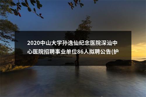 2020中山大学孙逸仙纪念医院深汕中心医院招聘事业单位86人拟聘公告(护技药与非卫第二批） 图片