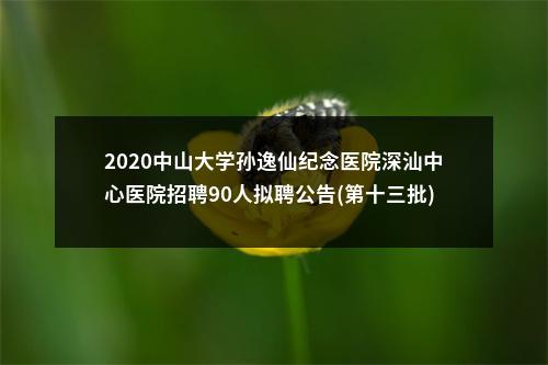 2020中山大学孙逸仙纪念医院深汕中心医院招聘90人拟聘公告(第十三批) 图片