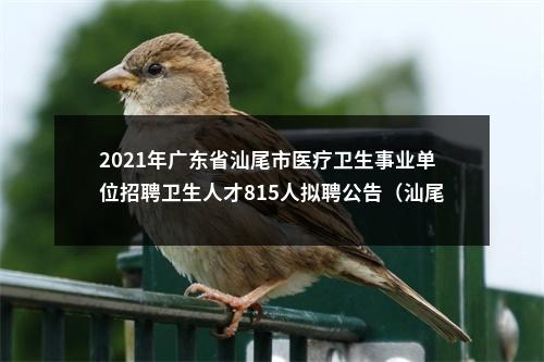 2021年广东省汕尾市医疗卫生事业单位招聘卫生人才815人拟聘公告（汕尾市人民医院） 图片
