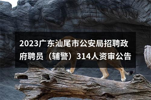 2023广东汕尾市公安局招聘政府聘员（辅警）314人资审公告 图片