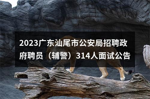 2023广东汕尾市公安局招聘政府聘员（辅警）314人面试公告 图片