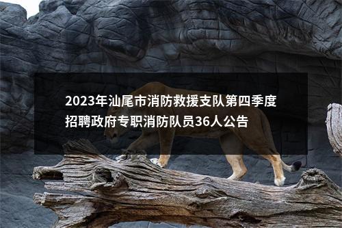 2023年汕尾市消防救援支队第四季度招聘政府专职消防队员36人公告 图片