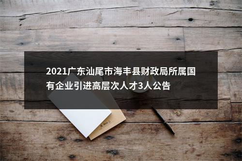 2021广东汕尾市海丰县财政局所属国有企业引进高层次人才3人公告 图片