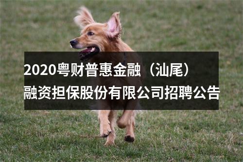 2020粤财普惠金融（汕尾）融资担保股份有限公司招聘公告 图片