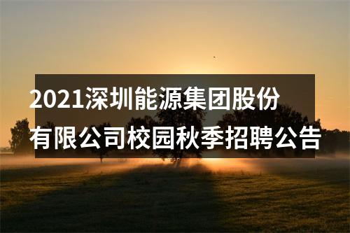 2021深圳能源集团股份有限公司校园秋季招聘公告 图片