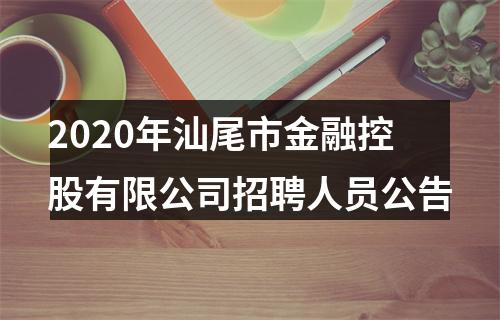 2020年汕尾市金融控股有限公司招聘人员公告 图片