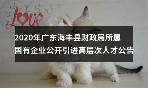 2020年广东海丰县财政局所属国有企业公开引进高层次人才公告 图片