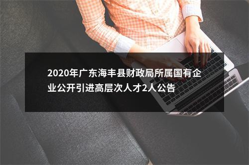 2020年广东海丰县财政局所属国有企业公开引进高层次人才2人公告 图片