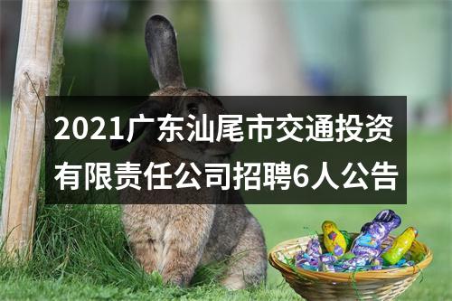 2021广东汕尾市交通投资有限责任公司招聘6人公告 图片