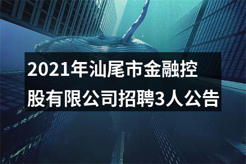 2021年汕尾市金融控股有限公司招聘3人公告 图片