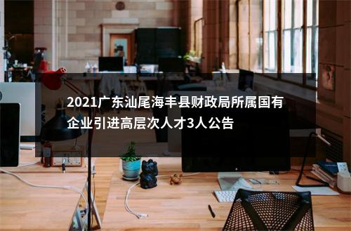2021广东汕尾海丰县财政局所属国有企业引进高层次人才3人公告 图片