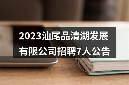 2023汕尾品清湖发展有限公司招聘7人公告 图片