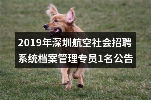 2019年深圳航空社会招聘系统档案管理专员1名公告 图片